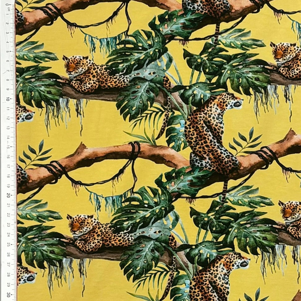 Jersey leopard i träd